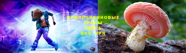 мяу мяу мука Аркадак