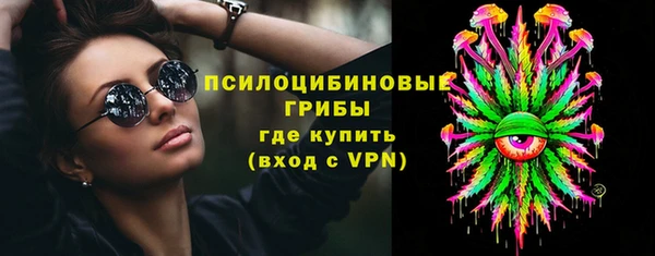 сатива Армянск