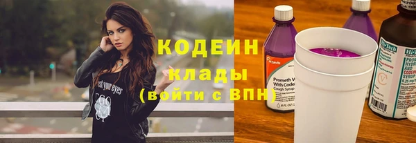 мяу мяу мука Аркадак