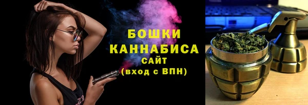 сатива Армянск