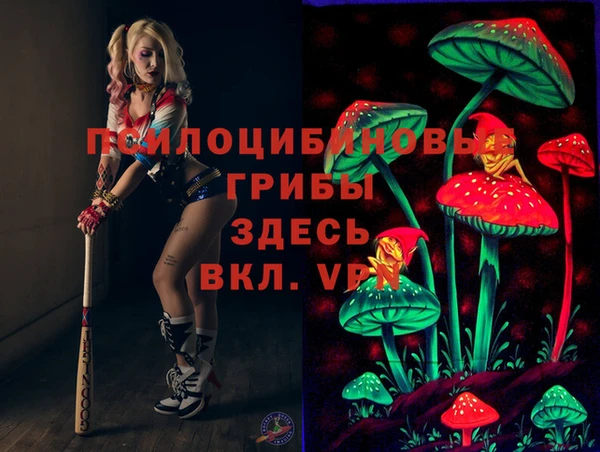 прущие крисы Арсеньев