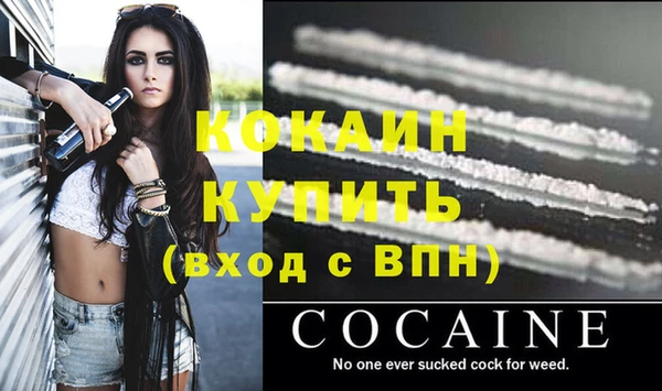 мяу мяу мука Аркадак