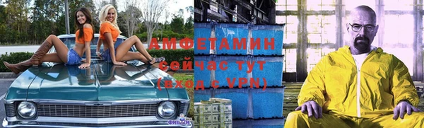 сатива Армянск