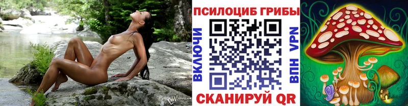 Псилоцибиновые грибы MAGIC MUSHROOMS  Бабушкин 